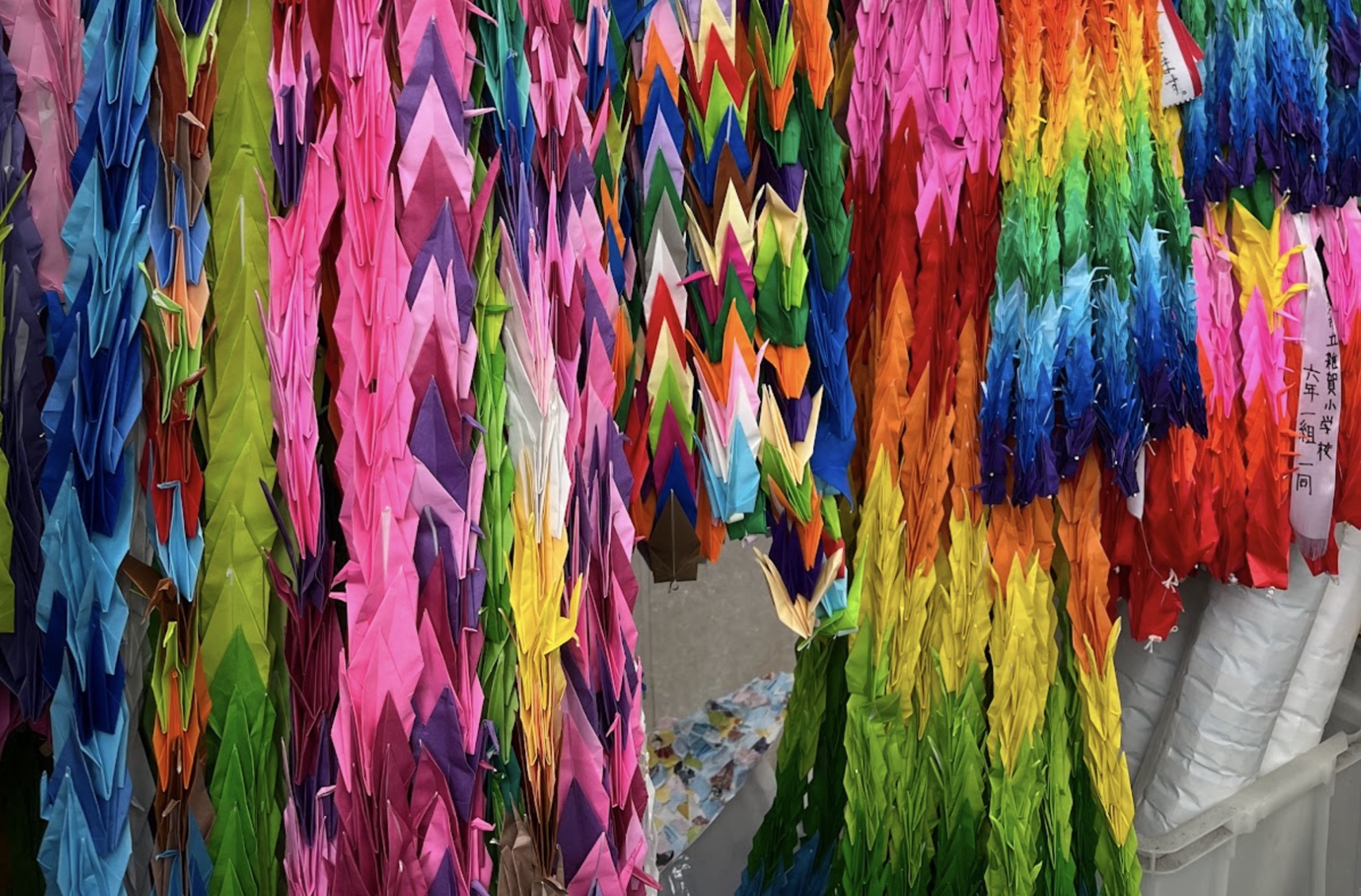 Paper cranes left by school students at the Hiroshima Peace Park as a symbol for recovery and a way to spread peace and hope around Japan.  
Image credit: Aya. N ('25)